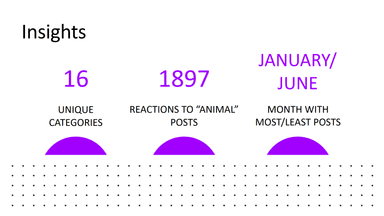 Results of an analysis of a social media start up